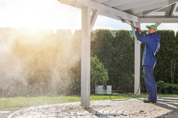 Best Parking Lot and Garage Cleaning  in Tremont, IL