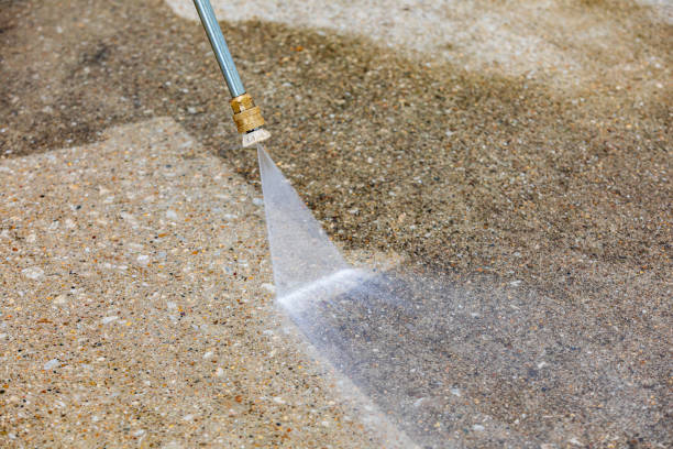 Best Dumpster Area Cleaning  in Tremont, IL