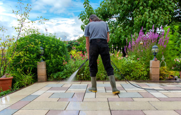 Best Fence Cleaning  in Tremont, IL